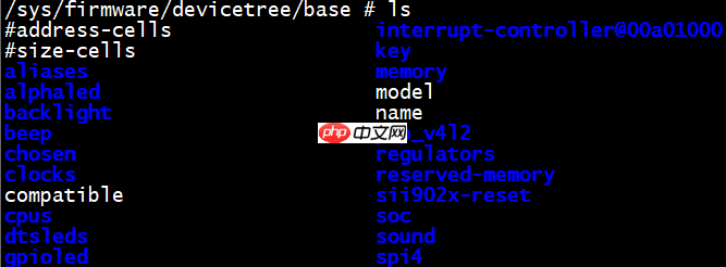 Linux 运行时设备树