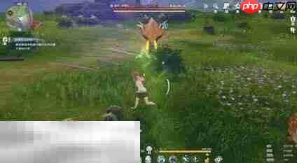 星痕共鸣BOSS野猪王怎么打 BOSS野猪王打法分享