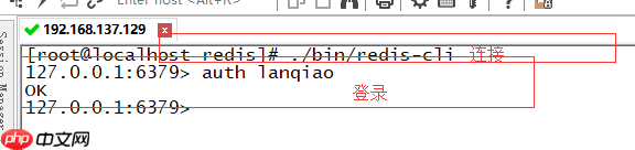 Redis远程连接Redis客户端