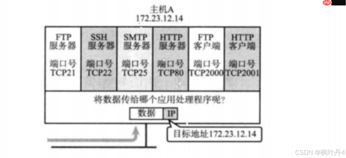 【在Linux世界中追寻伟大的One Piece】传输层协议UDP