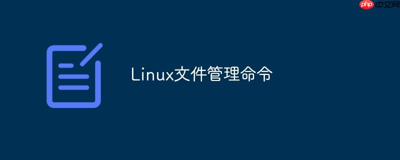 Linux文件管理命令