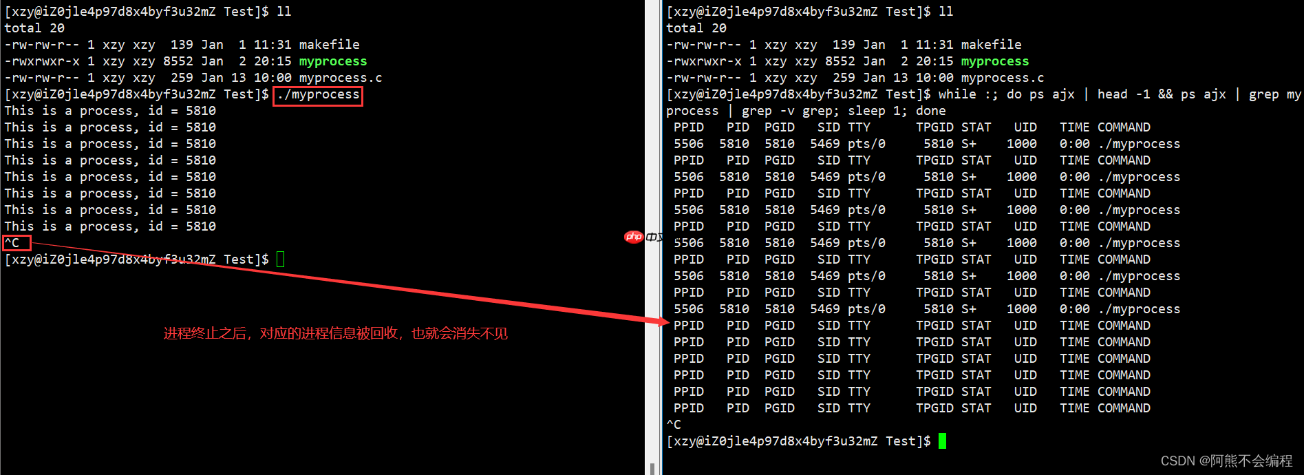 初识Linux下进程