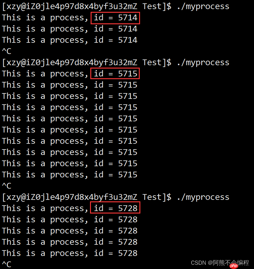 初识Linux下进程