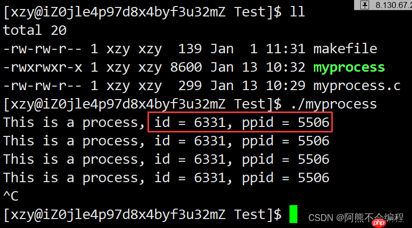 初识Linux下进程