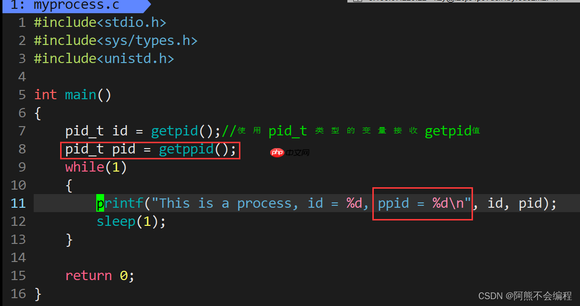 初识Linux下进程