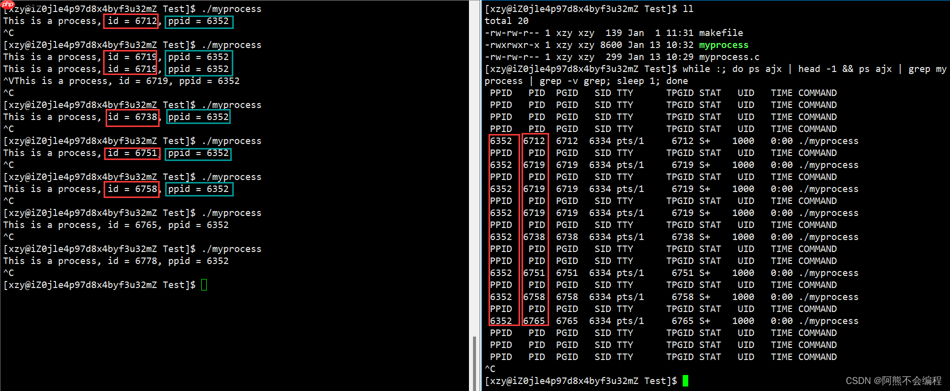 初识Linux下进程