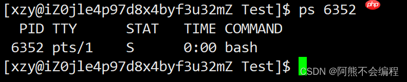 初识Linux下进程