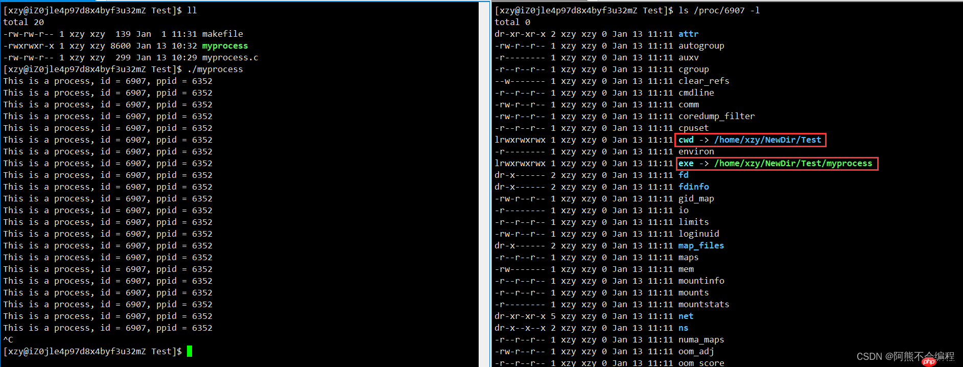初识Linux下进程