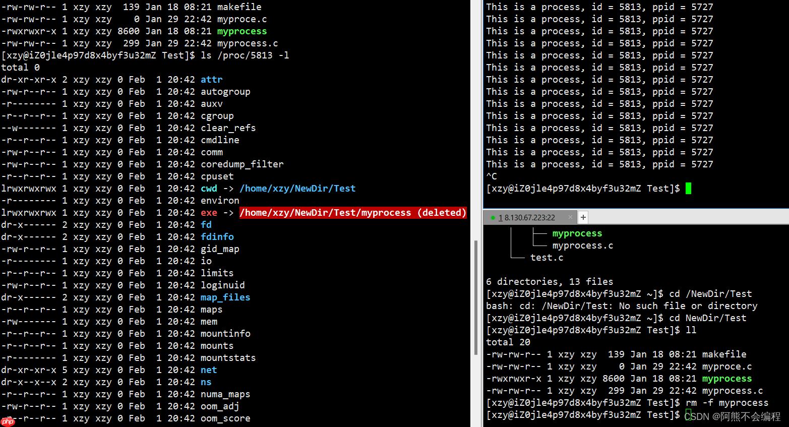 初识Linux下进程
