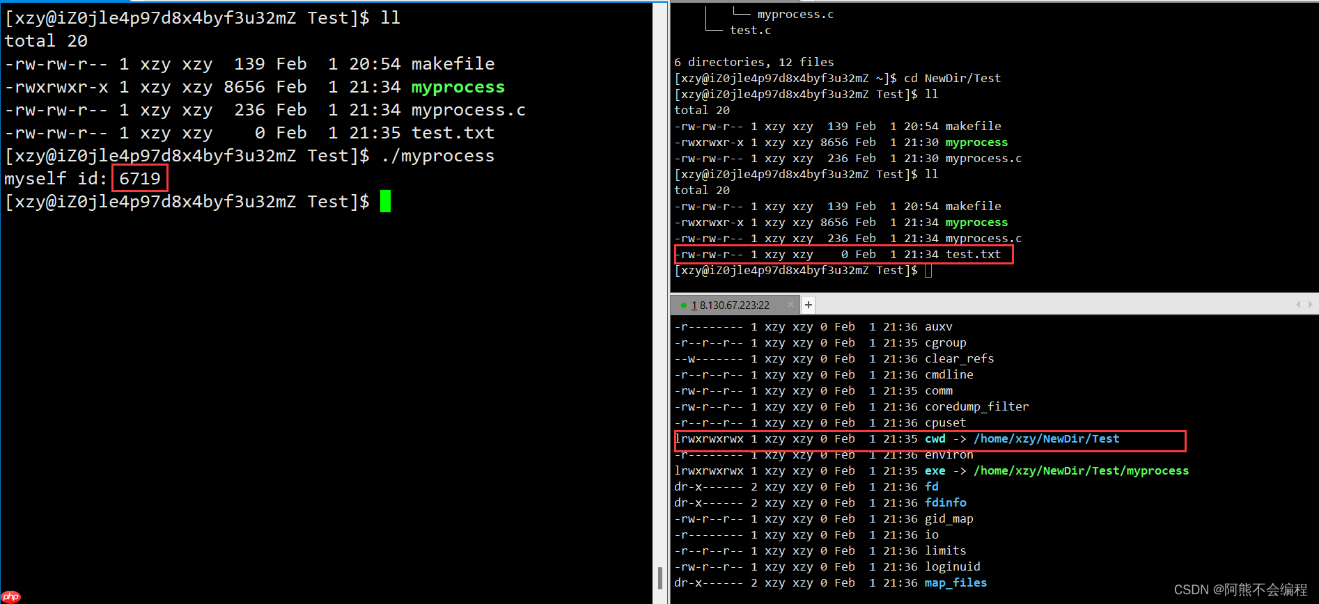 初识Linux下进程