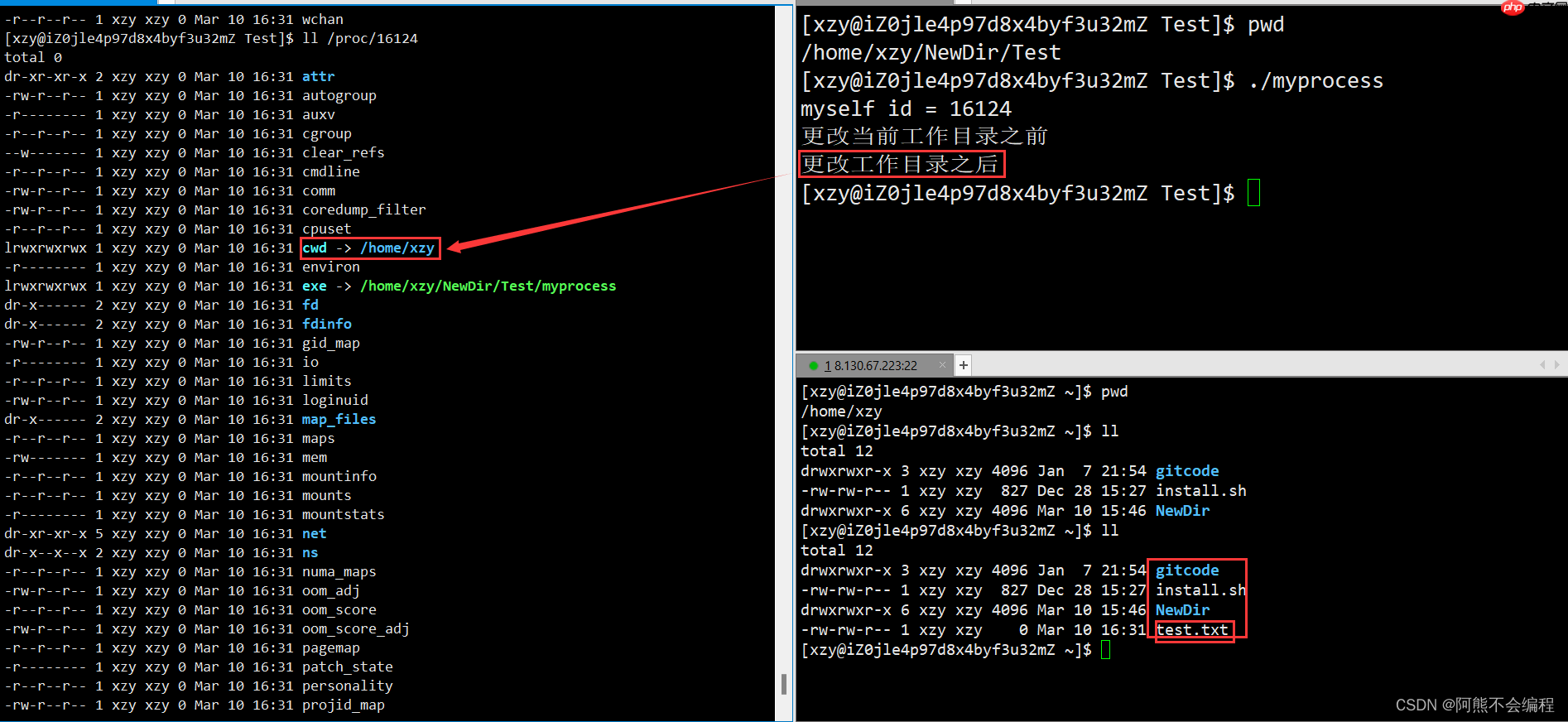 初识Linux下进程