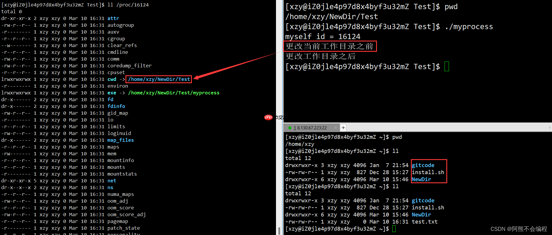 初识Linux下进程
