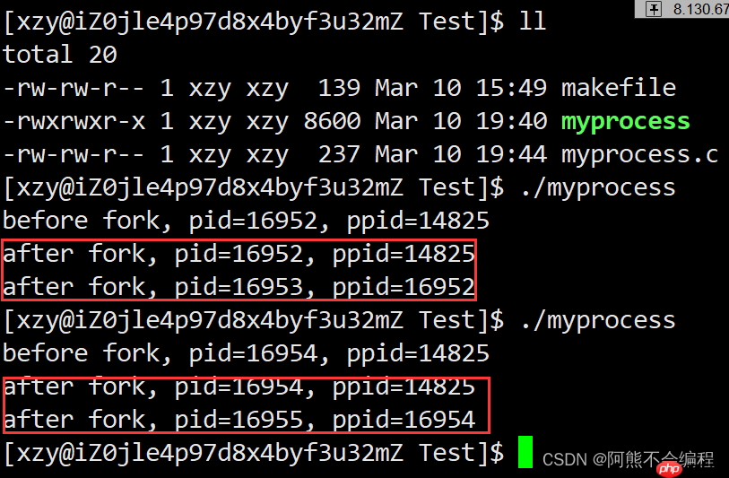 初识Linux下进程