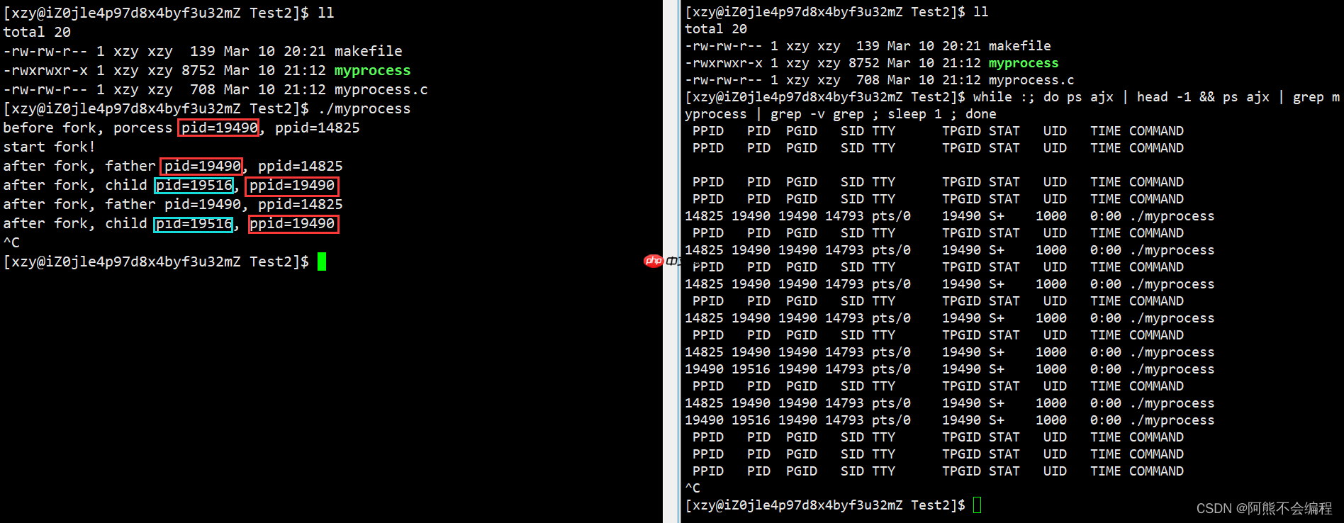 初识Linux下进程