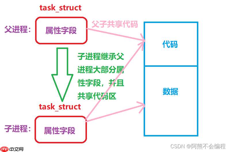 初识Linux下进程