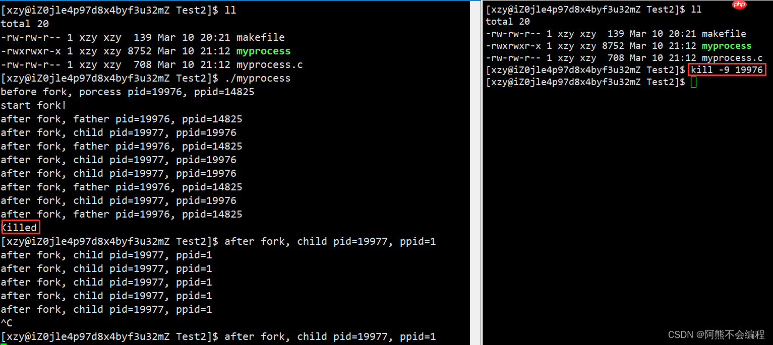 初识Linux下进程