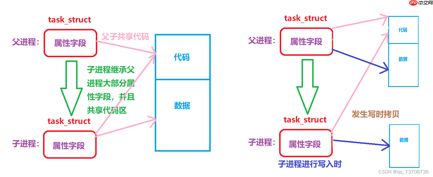 初识Linux下进程