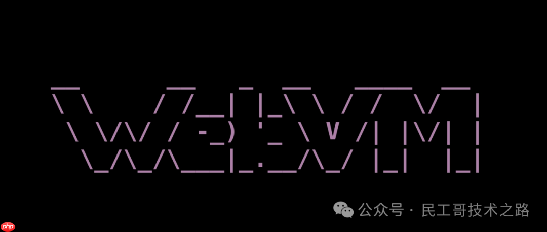 浏览器上的虚拟机！可以直接线上使用各种编程语言，以及 Linux 命令