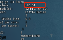 Linux内网离线安装Ollama
