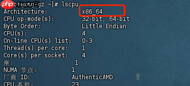 Linux内网离线安装Ollama