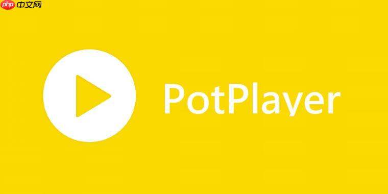 PotPlayer如何加载在线字幕 PotPlayer自动匹配字幕教程