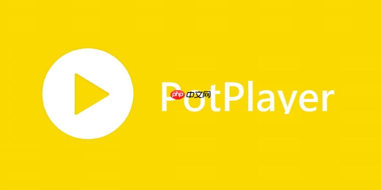 PotPlayer播放器怎么使用书签功能 PotPlayer标记精彩片段方法