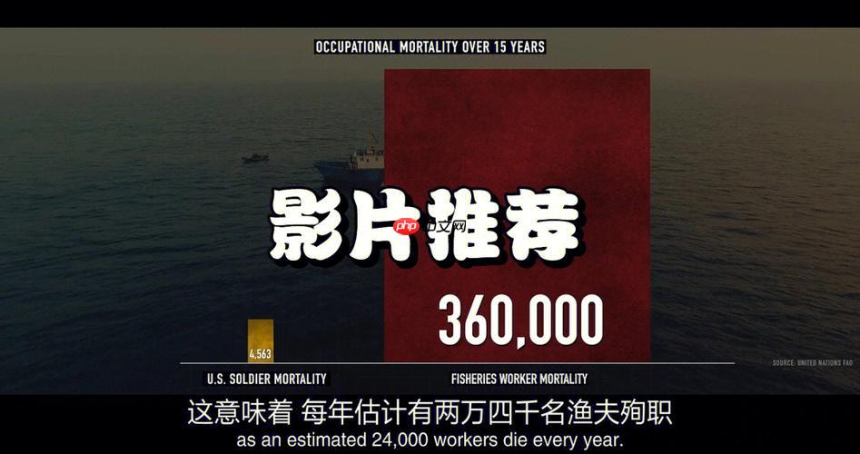 荐片如何找双语配音版本 荐片多语言音轨资源搜索