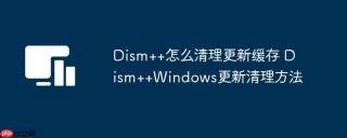 Dism++怎么清理更新缓存 Dism++Windows更新清理方法