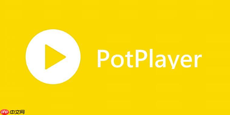 PotPlayer播放器如何设置记忆播放 PotPlayer续播功能开启教程