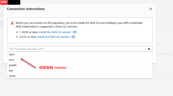 AWS CodeArtifact 如何设置用户的 TOKEN