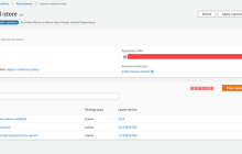 AWS CodeArtifact 如何设置用户的 TOKEN