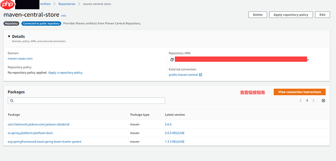 AWS CodeArtifact 如何设置用户的 TOKEN