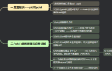 【Linux系列】fork( )函数原理与应用详解——了解【父子进程及其特性】(代码演示，画图帮助理解，思维导图，精简)（11）