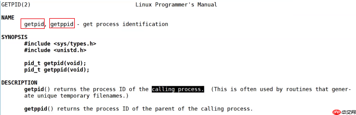 【linux系列】fork( )函数原理与应用详解——了解【父子进程及其特性】(代码演示，画图帮助理解，思维导图，精简)（11）