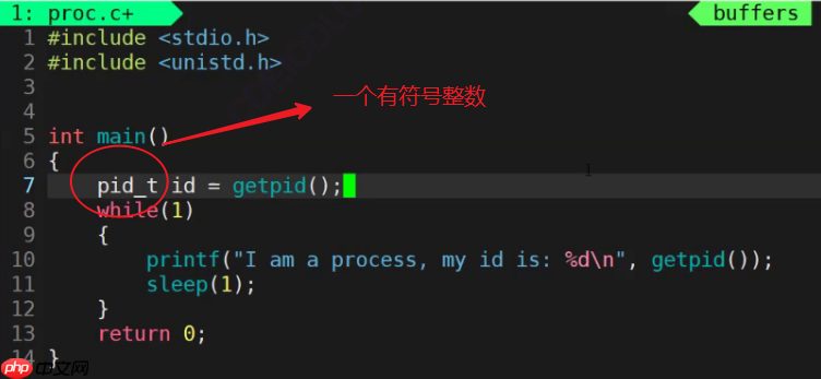 【linux系列】fork( )函数原理与应用详解——了解【父子进程及其特性】(代码演示，画图帮助理解，思维导图，精简)（11）