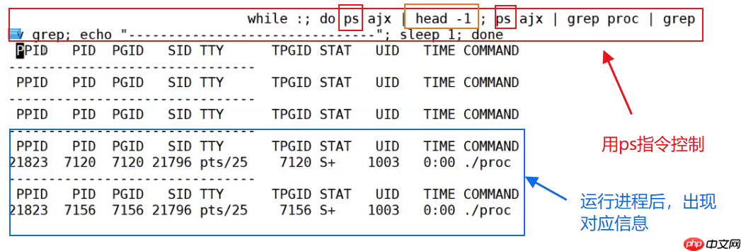 【linux系列】fork( )函数原理与应用详解——了解【父子进程及其特性】(代码演示，画图帮助理解，思维导图，精简)（11）