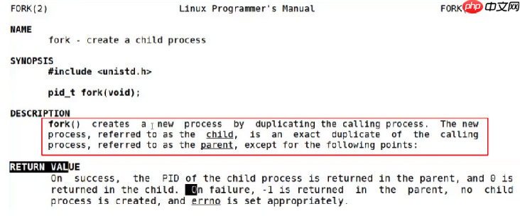 【Linux系列】fork( )函数原理与应用详解——了解【父子进程及其特性】(代码演示，画图帮助理解，思维导图，精简)（11）