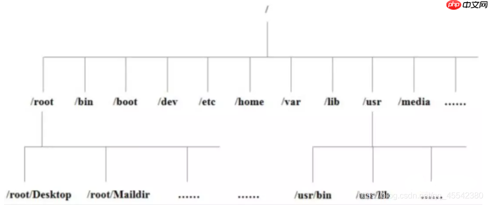 Linux 基础入门学习：(JavaEE~大数据篇)