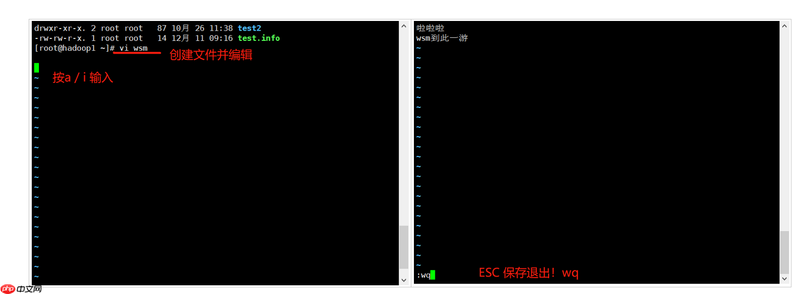 Linux 基础入门学习：(JavaEE~大数据篇)