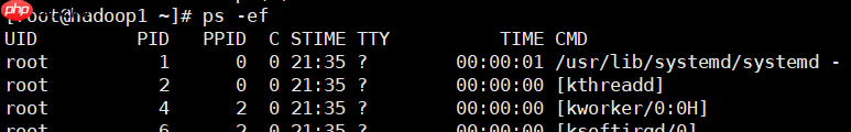 Linux 基础入门学习：(JavaEE~大数据篇)