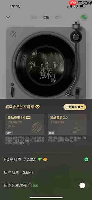 qq音乐和qq音乐hd的区别对比评测