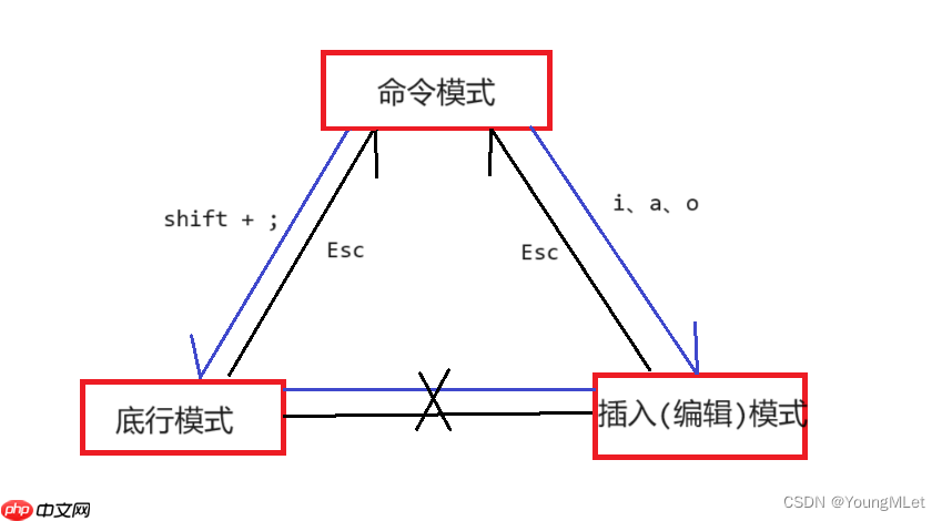 【Linux】常用工具(上)