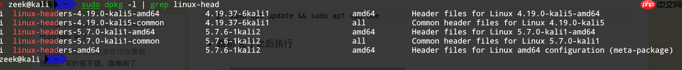 kali rolling 跟新后连不上wifi修复