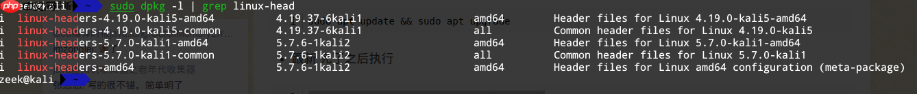 kali rolling 跟新后连不上wifi修复