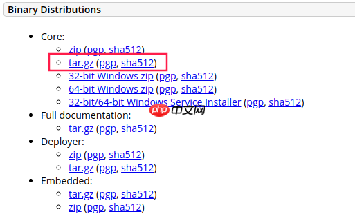 Linux下安装Tomcat 10