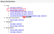 Linux下安装Tomcat 10