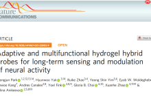 Nature子刊：基于水凝胶的灵活脑机接口
