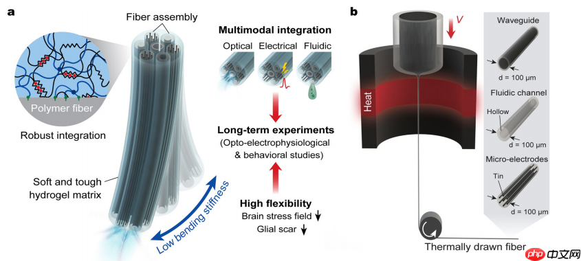Nature子刊：基于水凝胶的灵活脑机接口