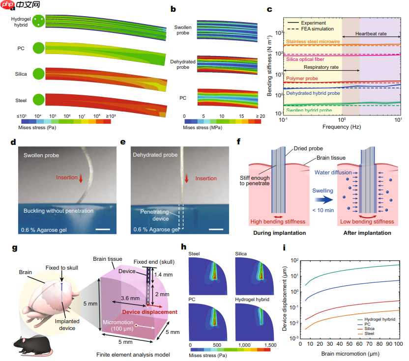 Nature子刊：基于水凝胶的灵活脑机接口