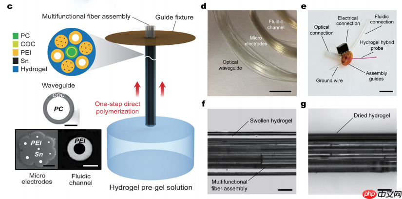 Nature子刊：基于水凝胶的灵活脑机接口